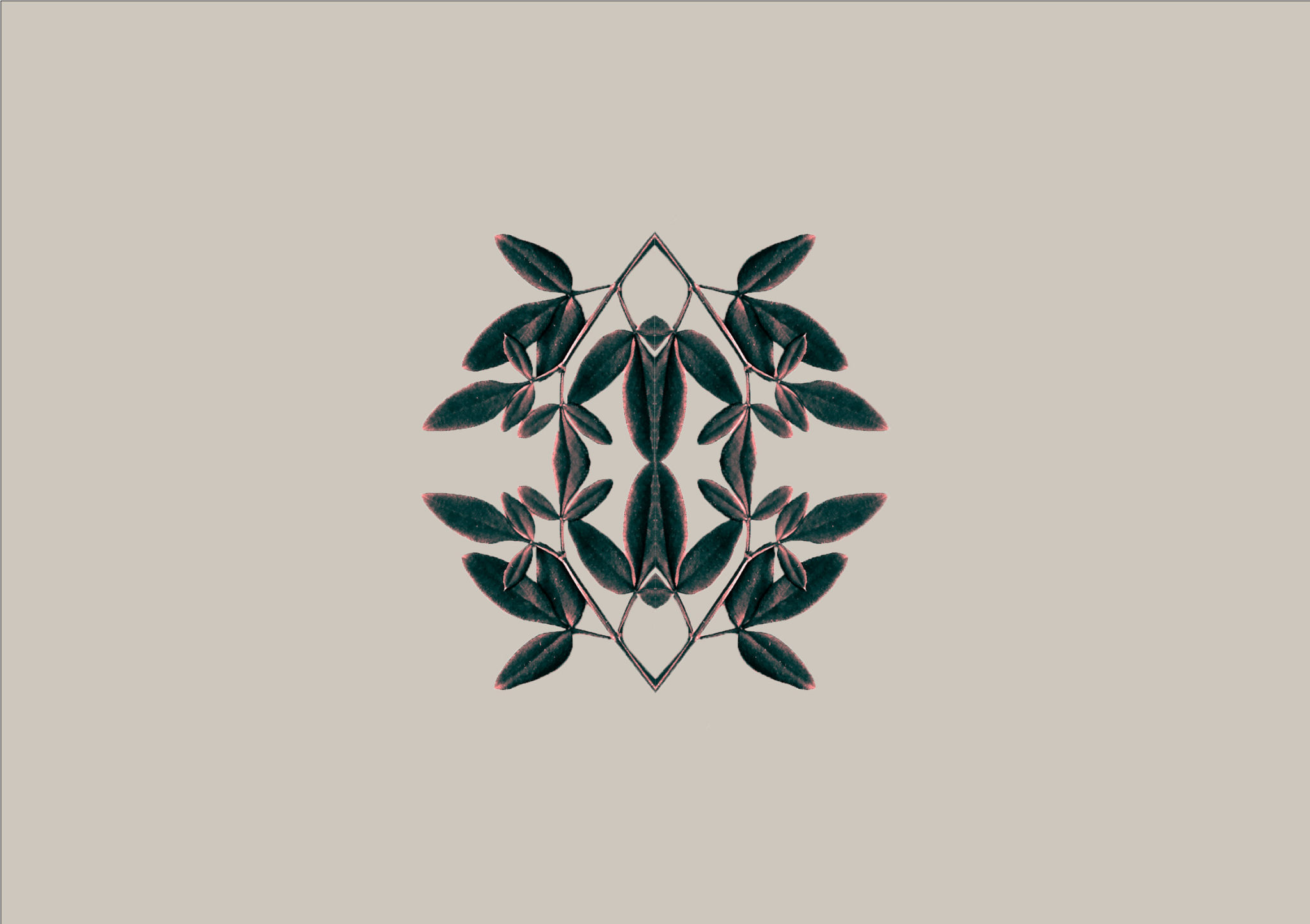 Screen-Shot-2019-09-05-at-18.22