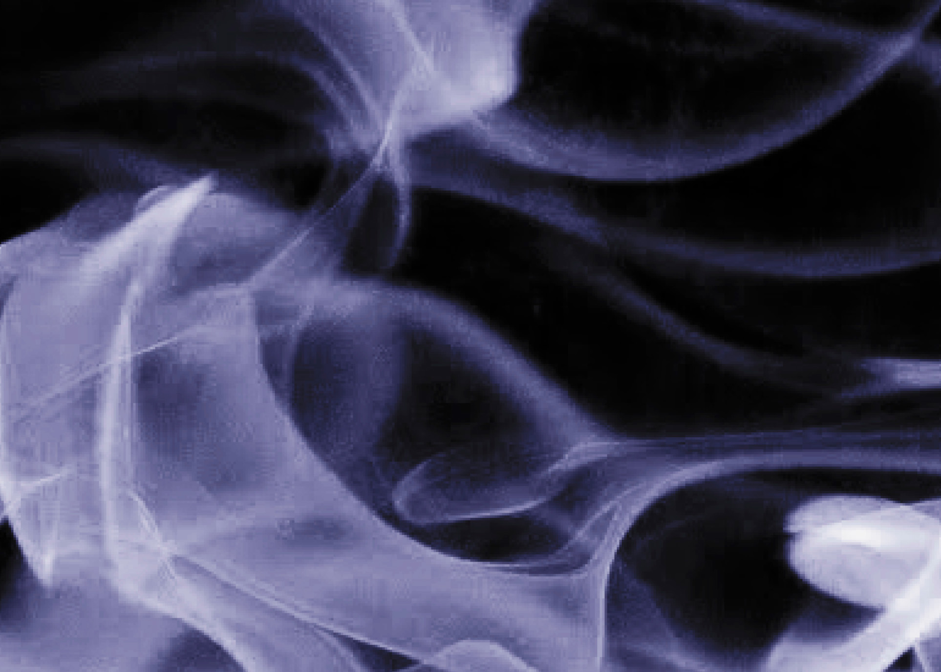 imponights2